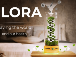 Crowdfunding project - Decorative Air Purifier