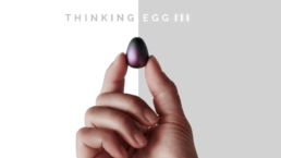 Crowdfunding project - Thinking Egg III