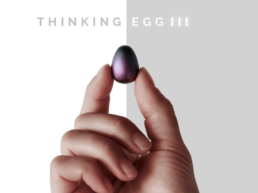 Crowdfunding project - Thinking Egg III