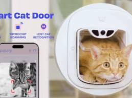 Kickstarter - Pawly Door