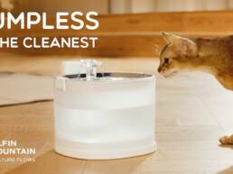 5. Kickstarter - Elfin Fountain