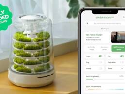9. Kickstarter - Petite Foret Plus, Tropical Forest Terrarium for Your Room