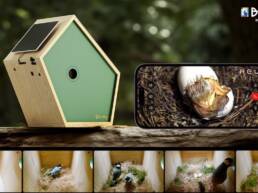 5. Kickstarter - Birddy Smart Bird House