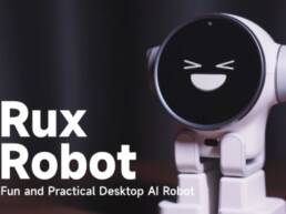 8. Indiegogo - Rux Robot