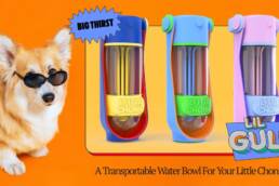 3. Kickstarter - The Lil Gulp - The Ultimate Doggy Water Bottle