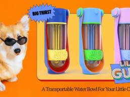3. Kickstarter - The Lil Gulp - The Ultimate Doggy Water Bottle