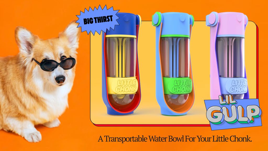 3. Kickstarter - The Lil Gulp - The Ultimate Doggy Water Bottle