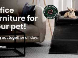 6. Kickstarter - SeatMate Pet Office Furniture with an Easy Access Ramp