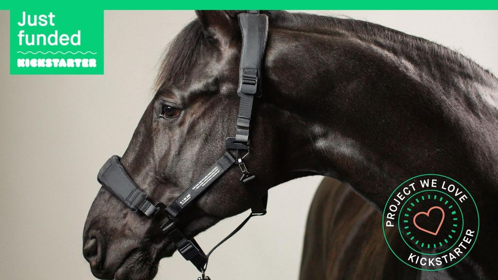 9. Kickstarter - HALTER 1.0 - Innovative halter design for your horse!