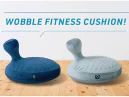 10. Kickstarter - Wobble Fitness Cushion - Train Your Core Just By Sitting!