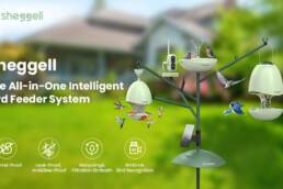 Kickstarter - Sheggell The All-in-One Intelligent Bird Feeder System