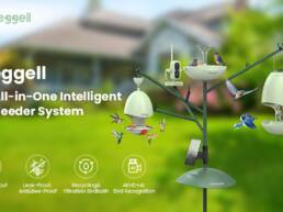 Kickstarter - Sheggell The All-in-One Intelligent Bird Feeder System