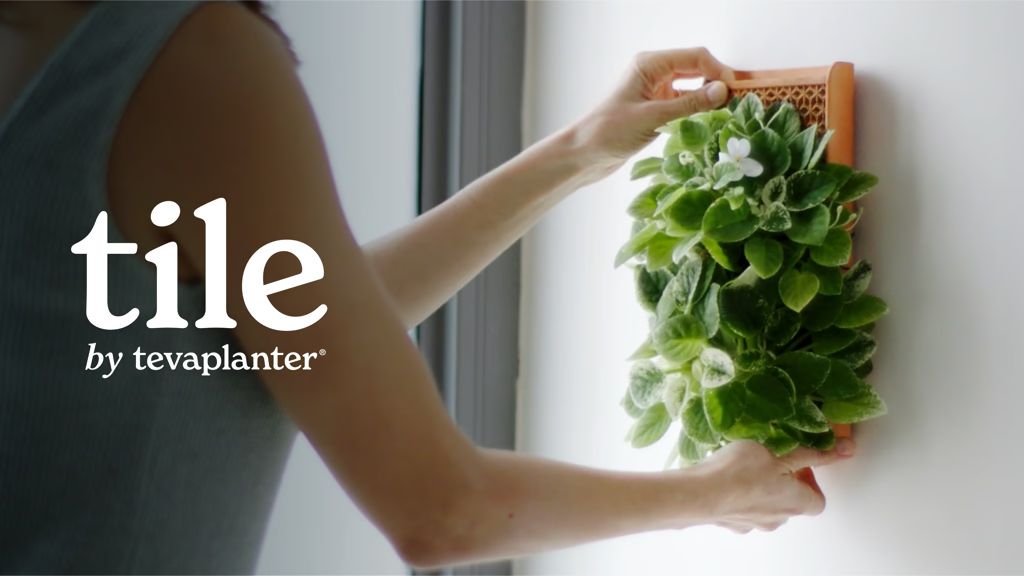 Kickstarter - The TILE - A Piece of Nature A Living Piece of Art