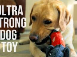 Kickstarter - CHEEKY The strongest and safest dog toy