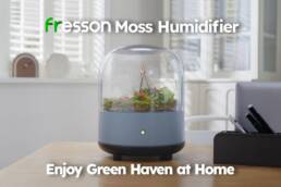 Kickstarter - Fresson Moss Humidifier Enjoy Green Haven at Home