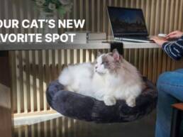 Kickstarter - DeskPurrch - The Cozy Under-Desk Cat Bed