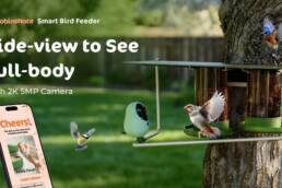 Kickstarter - Most Birdified Smart Feeder For Birds, By Birds, With Birds