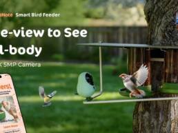 Kickstarter - Most Birdified Smart Feeder For Birds, By Birds, With Birds