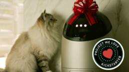 Kickstarter - Sphinx The Smart Wet Feeder For Cats