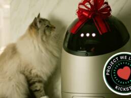 Kickstarter - Sphinx The Smart Wet Feeder For Cats