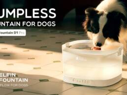 Kickstarter - Elfin Fountain The New Generation of Pumpless™ Dog Fountain