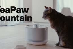 Kickstarter - YeaPaw Fountain Cordless. ‘Pumpless.’ Better Filtration
