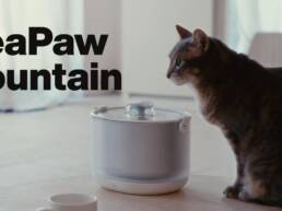 Kickstarter - YeaPaw Fountain Cordless. ‘Pumpless.’ Better Filtration