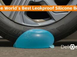 Kickstarter - DeliOne Duo Lock Pro Sustainable Silicone Food Bag