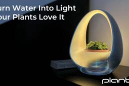 Kickstarter - Planto – The World’s First Water-Powered Smart Lamp