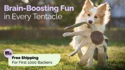 Kickstarter - Frank the Dogtopus The Dog Toy That Outsmarts Boredom