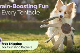 Kickstarter - Frank the Dogtopus The Dog Toy That Outsmarts Boredom