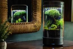 Kickstarter - Ark Smart Planter Your personal automated desktop oasis