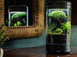Kickstarter - Ark Smart Planter Your personal automated desktop oasis