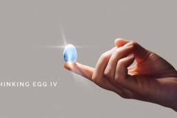 Kickstarter - Thinking Egg IV It's Time To Slow The Fck Down
