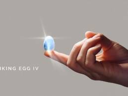 Kickstarter - Thinking Egg IV It's Time To Slow The Fck Down