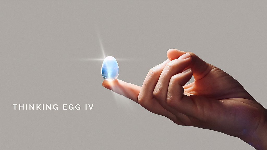 Kickstarter - Thinking Egg IV It's Time To Slow The Fck Down