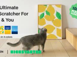 Kickstarter - HÄDDEN Zero-Waste Cat Scratcher