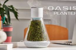 Kickstarter - Oasis Planter Self-Sustaining Moss Air System