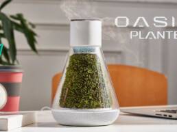 Kickstarter - Oasis Planter Self-Sustaining Moss Air System