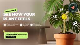 Kickstarter - Plantiemoji See How Your Plant Feels
