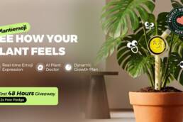 Kickstarter - Plantiemoji See How Your Plant Feels