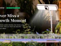 FernSnap- AI Plant Time-Lapse Camera