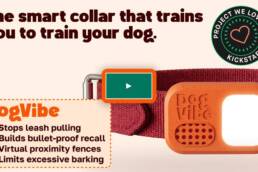 DogVibe- The Smart Dog Training Collar for Off-Leash Freedom